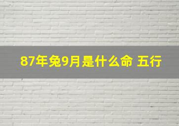 87年兔9月是什么命 五行